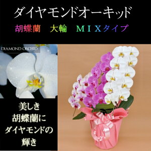 Ӓ  3{ ~bNX   ԃbv sN  _Ch I[Lbh j ړ]j JXj ACj J@j JƏj Nj a җ Ď    蕨 