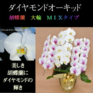 Ӓ  3{ ~bNX   ԃbv  _Ch I[Lbh j ړ]j JXj ACj J@j JƏj Nj a җ Ď    蕨 Yn