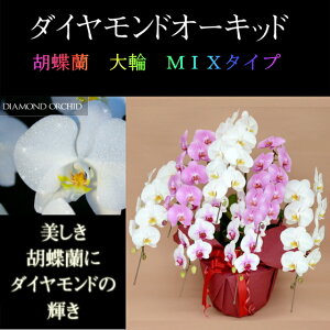 Ӓ  7{ ~bNX   ԃbv sN  _Ch I[Lbh j ړ]j JXj ACj J@j JƏj Nj a җ Ď    蕨 