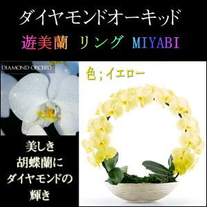 Ӓ  2{ F CG[ _Ch I[Lbh MIYABI O j ړ]j JXj ACj J@j JƏj Nj a җ Ď    蕨 Yn 