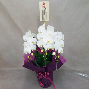 Ӓ  3{ _ChX^[  j ړ]j JXj ACj J@j JƏj Nj ij ސEj Ij a җ Ď   䋟   