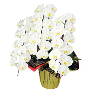 Ӓ  3{ 33ֈȏ Ӕ Ӓ   v~A  Mtg @l JXj JƏj ACj ړ]j ij ސEj Nj Yn ʐ^M 