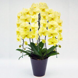 Ӓ 3{ S[fA| CG[ j ړ]j JXj ACj J@j JƏj Nj ij ސEj Ij a җ Ď   䋟   