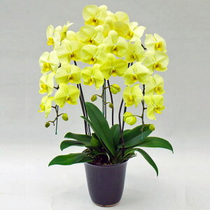 Ӓ 3{ S[fA| CG[ j ړ]j JXj ACj J@j JƏj Nj ij ސEj Ij a җ Ď   䋟 Yn ʐ^