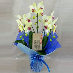 Ӓ  S[fGCW 3{ F CG[ ؎D J@ j ړ]j JXj ACj J@j JƏj Nj ij ސEj Ij a җ Ď  Yn