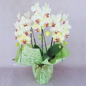 Ӓ  S[fGCW 3{ F CG[ j ړ]j JXj ACj J@j JƏj Nj ij ސEj Ij җ Ď  Yn ʐ^M D