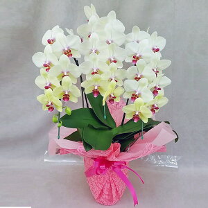 Ӓ  S[fGCW 3{ F CG[ j ړ]j JXj ACj J@j JƏj Nj ij ސEj Ij җ Ď  Yn ʐ^M D