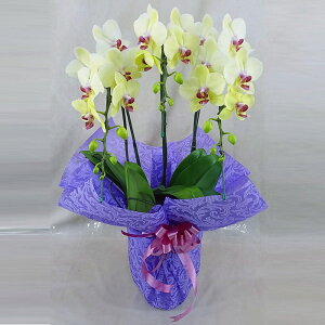 Ӓ  S[fGCW 3{ F CG[ j ړ]j JXj ACj J@j JƏj Nj ij ސEj Ij җ Ď  Yn ʐ^M D