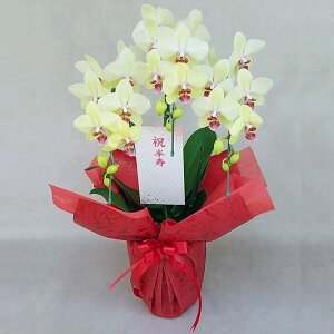 Ӓ  S[fGCW 3{ F CG[ D  j ړ]j JXj ACj J@j JƏj Nj ij ސEj Ij җ Ď  Yn 