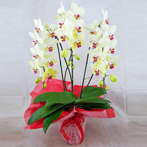 Ӓ  S[fGCW 3{ F CG[ j ړ]j JXj ACj J@j JƏj Nj ij ސEj Ij җ Ď  Yn ʐ^M D