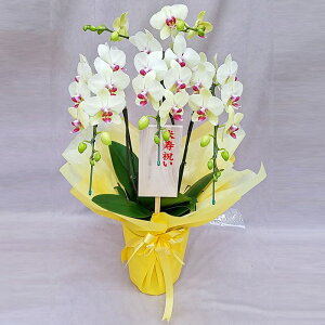 Ӓ  S[fGCW 3{ F CG[ ؎D Ďj j ړ]j JXj ACj J@j JƏj Nj ij ސEj Ij җ Ď  Yn