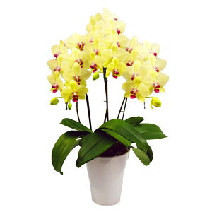 Ӓ  S[fGCW 3{ F CG[ j ړ]j JXj ACj J@j JƏj Nj ij ސEj Ij a җ Ď   䋟 Y