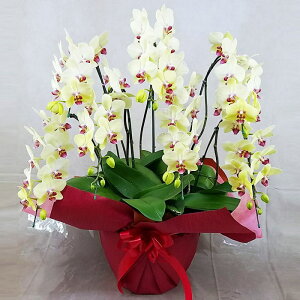 �Ӓ��� ����� �S�[���f���G�C�W 7�{���� ���F �C�G���[ ���j�� �ړ]�j�� �J�X�j�� �A�C�j�� �J�@�j�� �J�Əj�� ���N�j�� ���i�j�� �ސE�j�� ���I�j�� �җ� �Ď� ���� �Y�n���� �ʐ^���M ���D