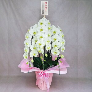 Ӓ 3{ O[A[X CG[ O[ ړ]j JXj ACj J@j JƏj Nj ij ސEj Ij җ Ď  Yn ʐ^M D bsO