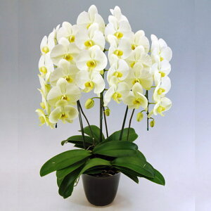 yr[v[gIzӒ 3{ O[A[X CG[ O[ ړ]j JXj ACj J@j JƏj Nj ij ސEj Ij җ Ď  Yn