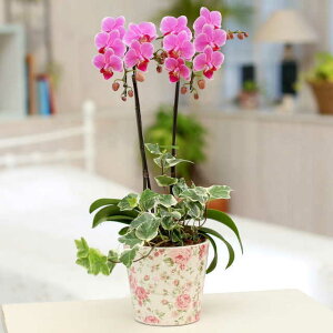 ~fB Ӓ 2{ sN ԕ ϗt j ړ]j JXj ACj J@j JƏj Nj ij ސEj a җ Ď  j LO   
