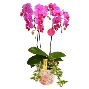 ~fBӒ 2{  ZsN ԕ ϗt j ړ]j JXj ACj J@j JƏj Nj ij ސEj a җ Ď  j  