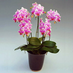 y|Cg10{z~fBӒ 5{ nCA}[Ch sNj ړ]j JXj ACj J@j JƏj Nj ij ސEj Ij a җ Ď  