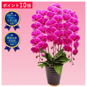 y|Cg10{zӒ 3{ z[Y sNF F j ړ]j JXj ACj J@j JƏj Nj ij ސEj Ij a җ Ď   