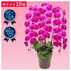 y|Cg10{zӒ 3{ z[Y sNF F _ubsOd