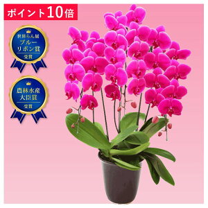 y|Cg10{zӒ 3{ z[Y sNF F j ړ]j JXj ACj J@j JƏj Nj ij ސEj Ij a җ Ď   