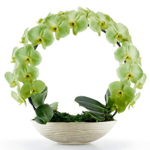 Ӓ  V O XO[ MIYABI ~r j ړ]j JXj ACj J@j JƏj Nj ij ސEj Ij a җ Ď    蕨 Y