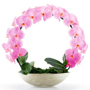 Ӓ  V O TN MIYABI ~r j ړ]j JXj ACj J@j JƏj Nj ij ސEj Ij a җ Ď    蕨 Yn 