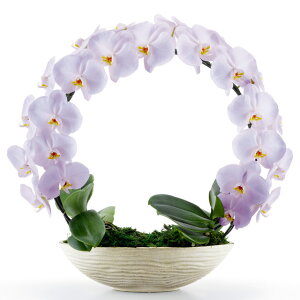 Ӓ  V O X~ MIYABI ~r j ړ]j JXj ACj J@j JƏj Nj ij ސEj Ij a җ Ď    蕨 Yn 