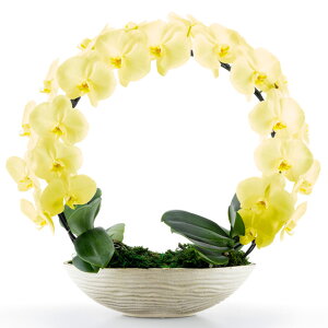 �Ӓ��� ��� �V���� �����O ���F �C�G���[ MIYABI �~���r ���j�� �ړ]�j�� �J�X�j�� �A�C�j�� �J�@�j�� �J�Əj�� ���N�j�� ���i�j�� �ސE�j�� ���I�j�� �a���� �җ� �Ď� ���� ���� �� ���蕨 �Y