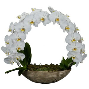 Ӓ  V O j ړ]j JXj ACj J@j JƏj Nj ij ސEj Ij a җ Ď   䋟    t[Mtg 