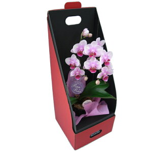 e[uӒ 1{ 2WAYMtgBOX sNj ړ]j JXj ACj J@j JƏj Nj ij ސEj a җ Ď  j LO   