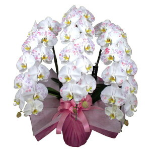 ϗ ֌Ӓ   3{ 36֑O  d j ړ]j JXj ACj J@j JƏj Nj ij ސEj Ij a җ Ď    