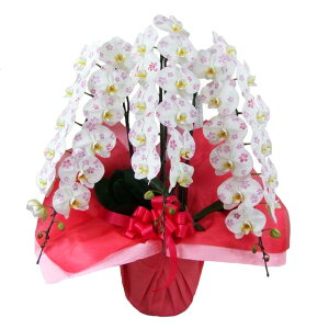 ϗ ֌Ӓ 3{  G߂̕ 36֑O j ړ]j JXj ACj J@j JƏj Nj ij ސEj Ij a җ Ď   䋟 