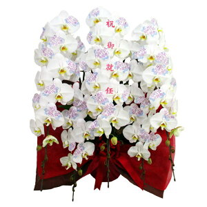 ϗ ֌Ӓ jAC  3{ 36֑O G߂̊G AWTC d j ړ]j JXj ACj J@j JƏj Nj ij ސEj Ij a 