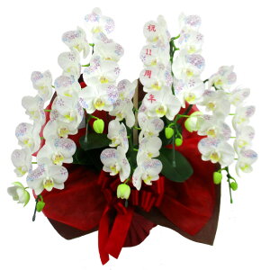 ϗ ֌Ӓ NLO  5{ 60֑O AWTC  d j ړ]j JXj ACj J@j JƏj Nj ij ސEj Ij a җ Ď 