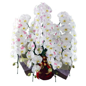 ϗ ֌Ӓ 5{  G߂̕ 60֑O j ړ]j JXj ACj J@j JƏj Nj ij ސEj Ij a җ Ď   䋟 