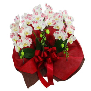 ϗ ~fBӒ 3{ 21֑O o n[g { d j ړ]j JXj ACj J@j JƏj Nj ij ސEj Ij a җ Ď  