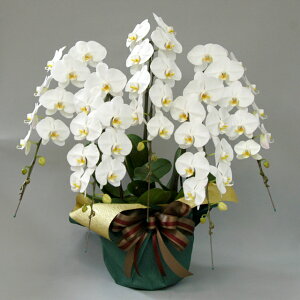 莝z `[^[ ֌nӒ 5{  j ړ]j JXj ACj J@j JƏj Nj ij ސEj Ij a җ Ď   䋟  