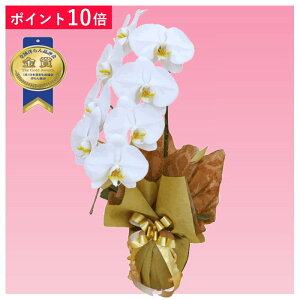 yy|Cg10{zӒ 1{ F