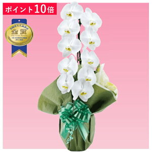 y|Cg10{zӒ 1{ F j ړ]j JXj ACj J@j JƏj Nj ij ސEj Ij a җ Ď   䋟     