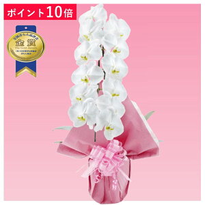 y|Cg10{zӒ 1{ F j ړ]j JXj ACj J@j JƏj Nj ij ސEj Ij a җ Ď   䋟     