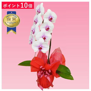 y|Cg10{zӒ 1{ ԃbv j ړ]j JXj ACj J@j JƏj Nj ij ސEj Ij a җ Ď    蕨 Yn ʐ^