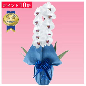 y|Cg10{zӒ 1{ ԃbv j ړ]j JXj ACj J@j JƏj Nj ij ސEj Ij a җ Ď    蕨 Yn ʐ^