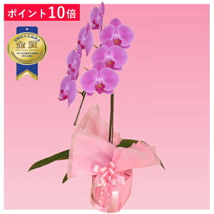 y|Cg10{zӒ 1{ sNF j ړ]j JXj ACj J@j JƏj Nj ij ސEj Ij a җ Ď    蕨 Yn ʐ^