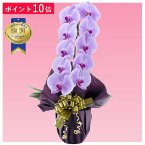 y|Cg10{zӒ 1{ sNF j ړ]j JXj ACj J@j JƏj Nj ij ސEj Ij a җ Ď    蕨 Yn ʐ^