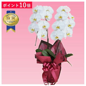 y|Cg10{zӒ 2{ F j ړ]j JXj ACj J@j JƏj Nj ij ސEj Ij a җ Ď   䋟     