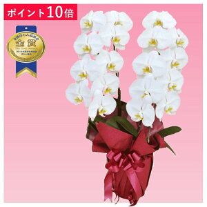 y|Cg10{zӒ 2{ F j ړ]j JXj ACj J@j JƏj Nj ij ސEj Ij a җ Ď   䋟     