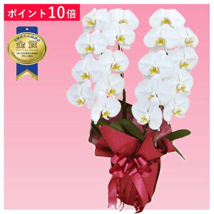 y|Cg10{zӒ 2{ F j ړ]j JXj ACj J@j JƏj Nj ij ސEj Ij a җ Ď   䋟     