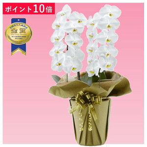 y|Cg10{zӒ 2{ F j ړ]j JXj ACj J@j JƏj Nj ij ސEj Ij a җ Ď   䋟     