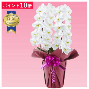 y|Cg10{zӒ 2{ F j ړ]j JXj ACj J@j JƏj Nj ij ސEj Ij a җ Ď   䋟     